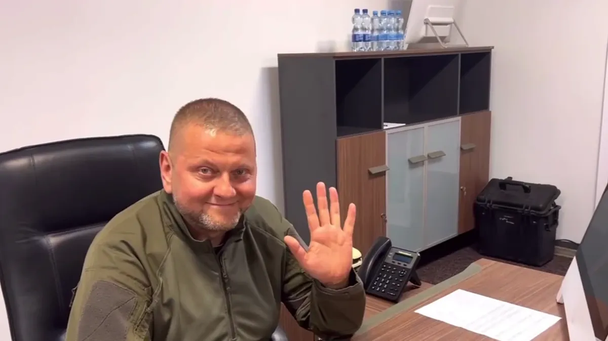 Главком ВСУ Залужный засветился в эфире у журналиста «Штирлица» - фото