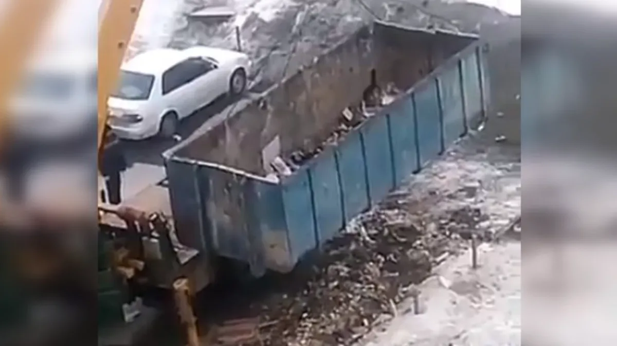 В Уфе засняли на видео десятки крыс, вбегающих в жилой дом с мусорки