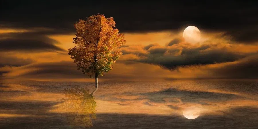 pixabay.com