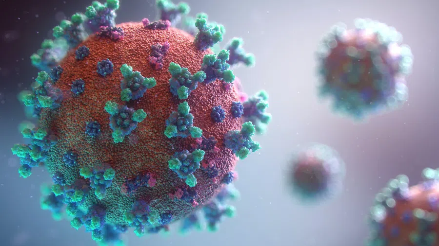 Ученые изучают структуру, морфологию и способы передачи коронавирусов: как предотвратить будущие пандемии