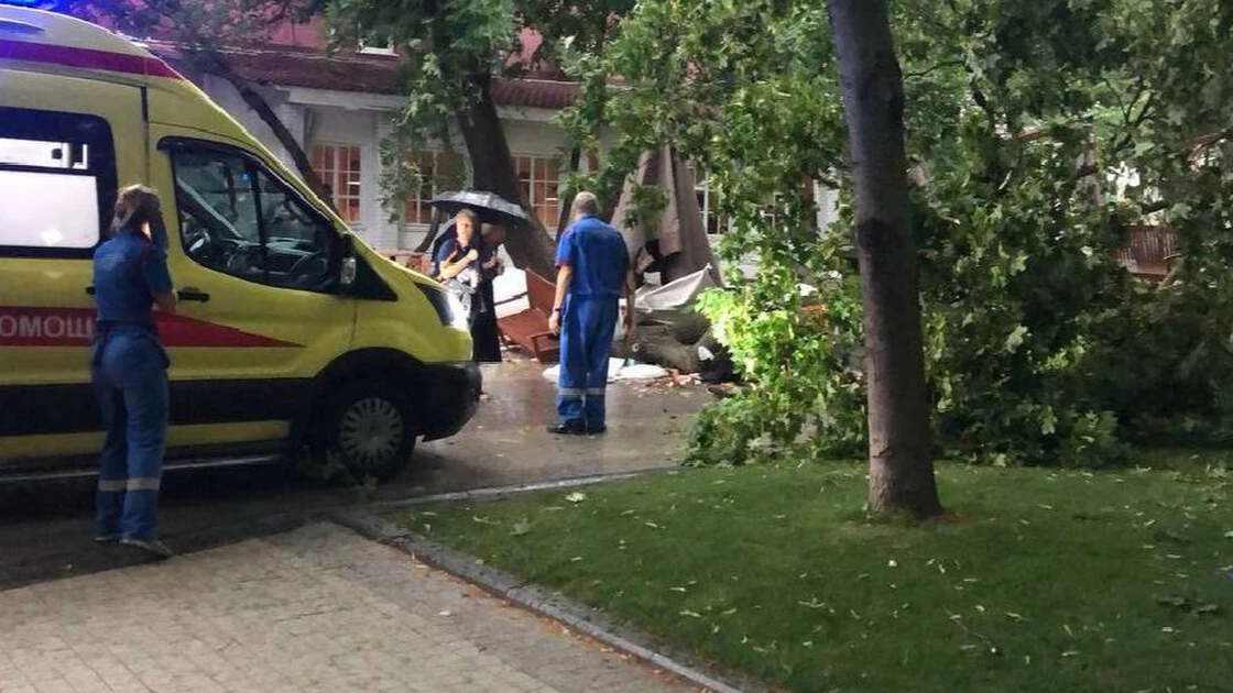 Два человека погибли и 18 пострадали из-за непогоды и падения деревьев в Москве. Фото: телеграм-канал «Москва с огоньком»