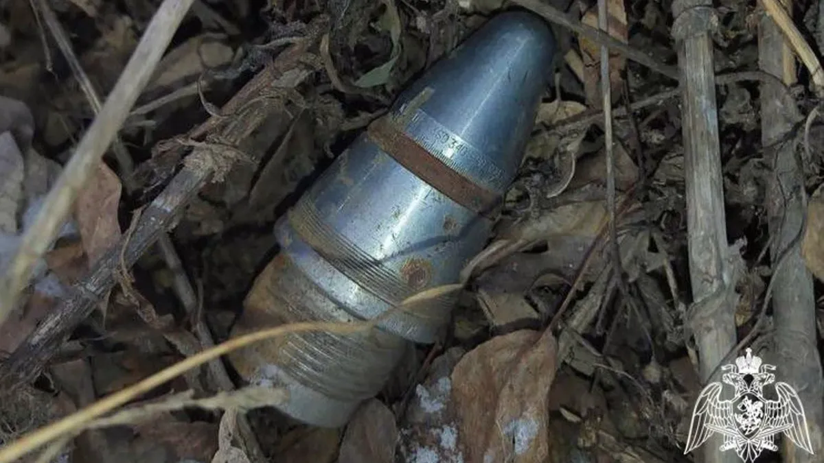 В Искитиме обнаружили опасный для жизни горожан взрыватель от снаряда