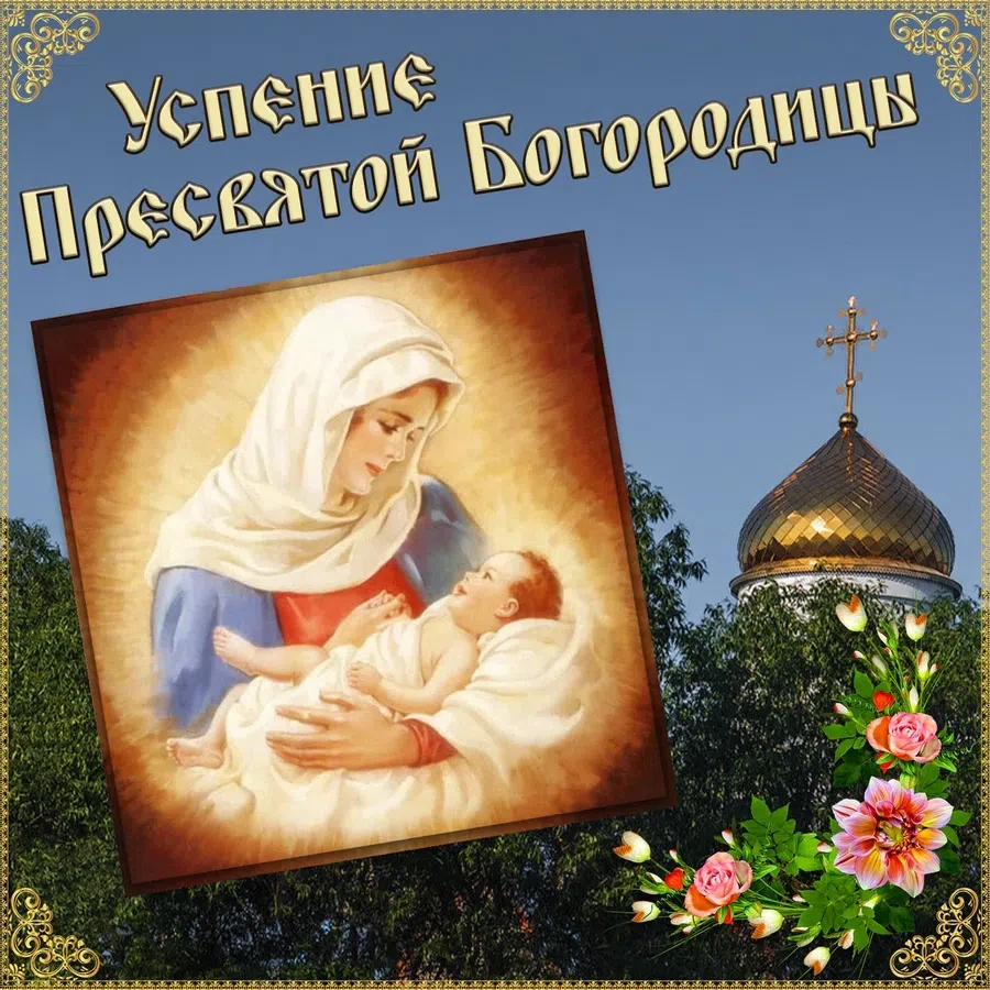bonnycards.ru