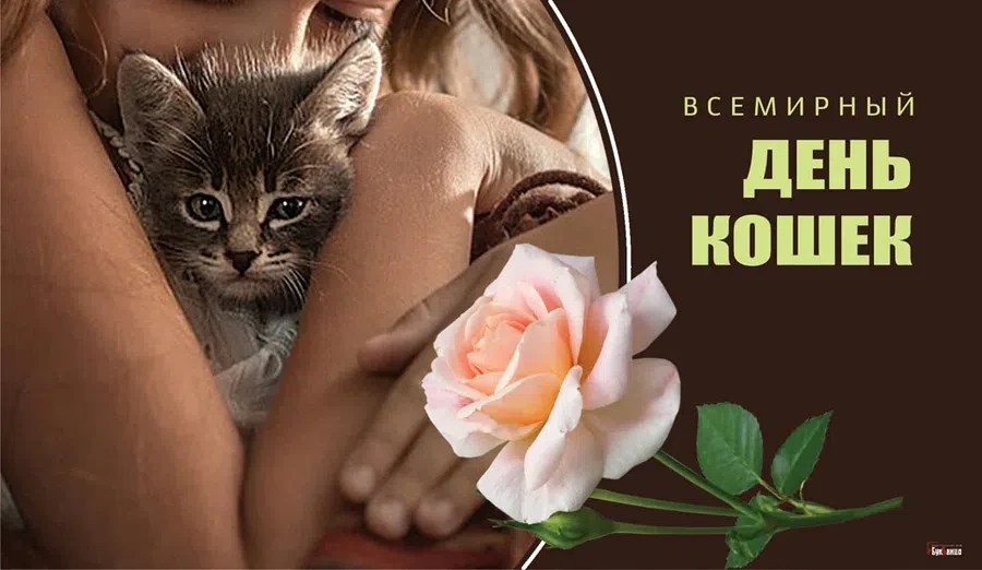 Весь Искитим