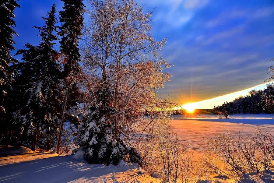 закат, зима, солнце, снег, лес