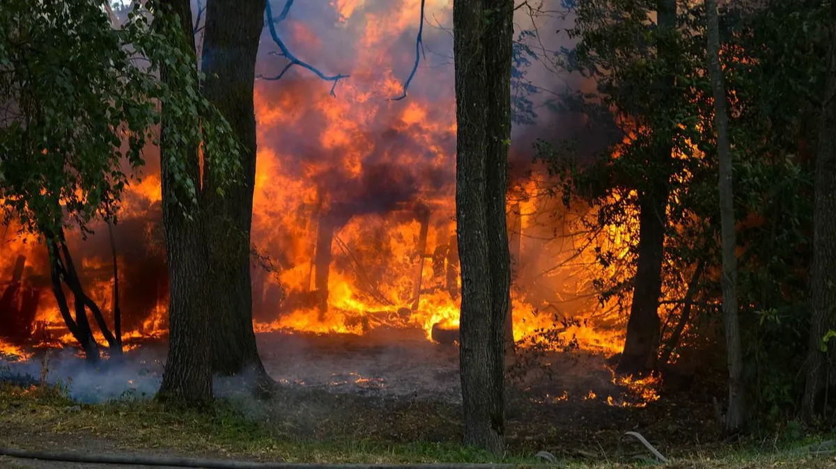 Лесные пожары окинули территорию 700 гектаров. Фото: pixabay.com