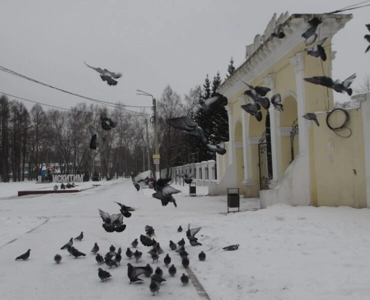 Искитим парк