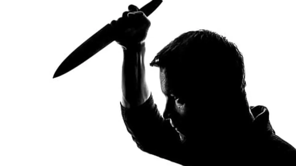 В Великобритании мужчина расправился с женой и детьми: полиция нашла Саджу Челавалеля с ножом у горла – причиной страшной трагедии стали мысли об измене супруги