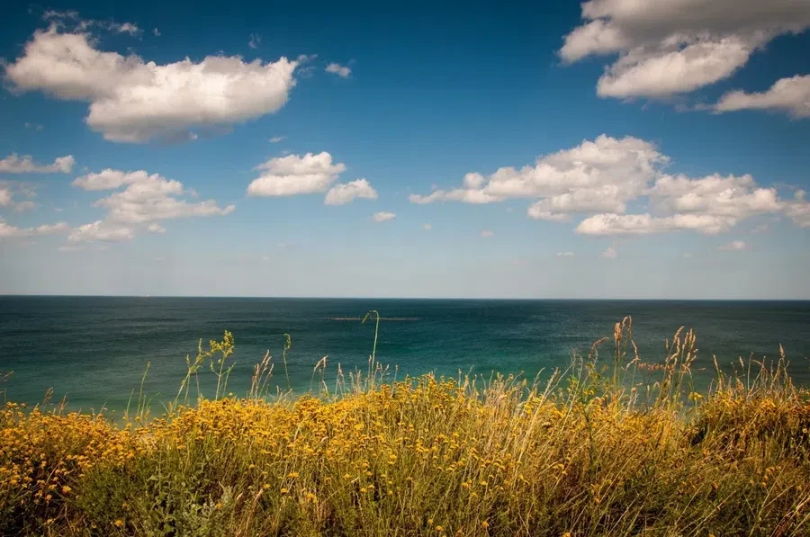 море, природа