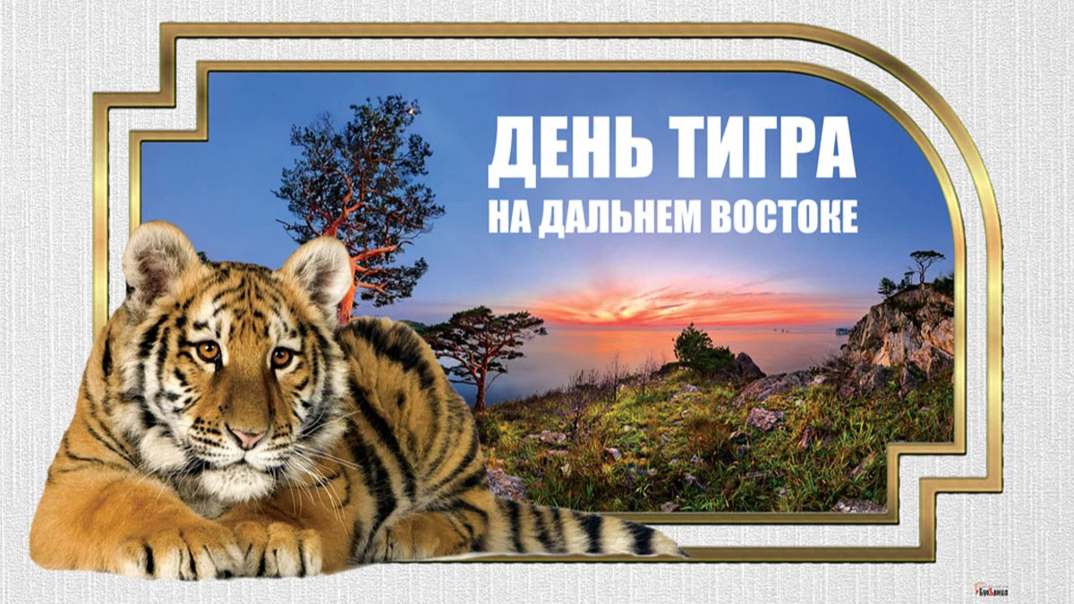 День тигра на Дальнем Востоке. Иллюстрация: «Весь Искитим»