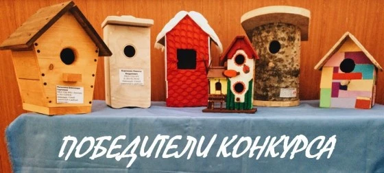 Победителей оценивали по трем номинациям