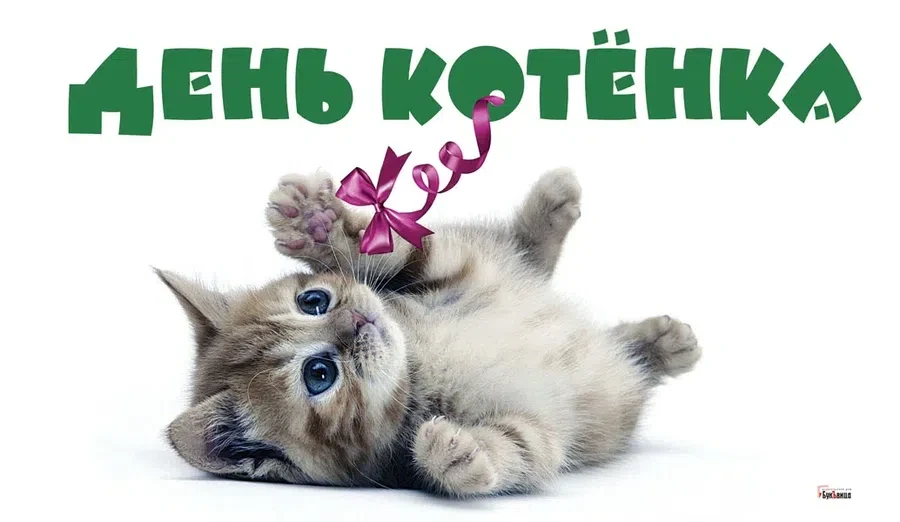 Весь Искитим