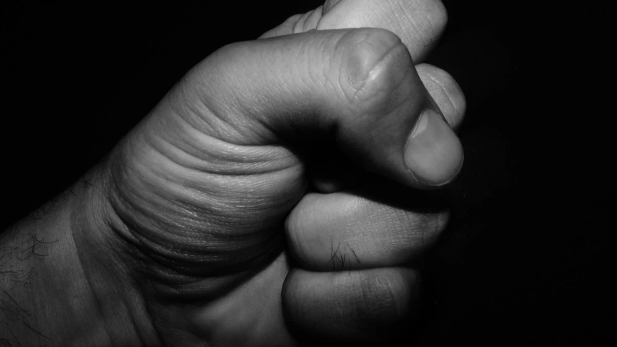 Фото: pixabay.com