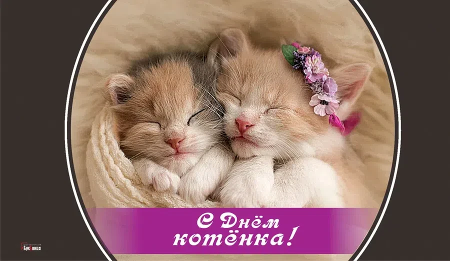 Весь Искитим
