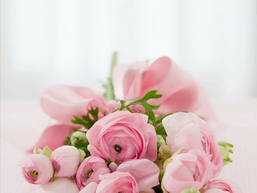 Как 14 февраля в День влюбленных узнать по подаренному букету об истинных чувствах парня и мужа: характеристика цветов и их значение