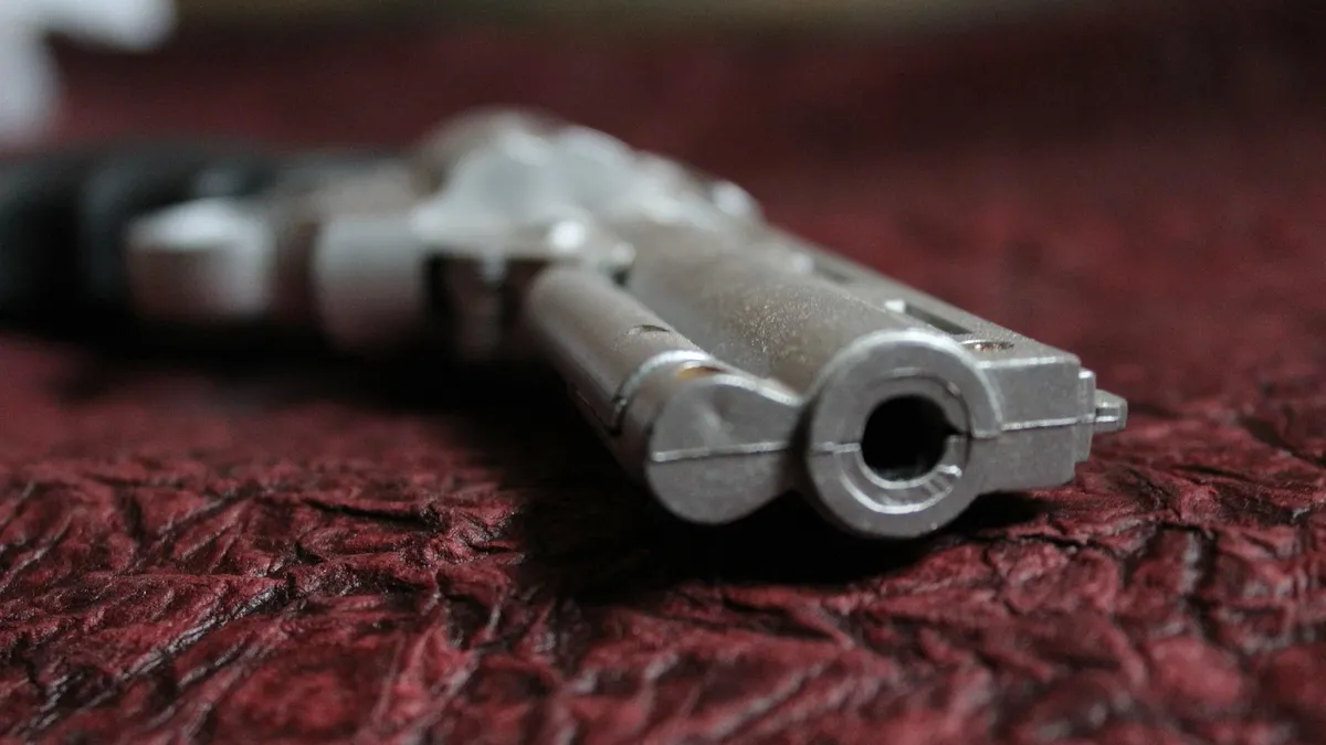 В квартире Аваевых было обнаружено сразу 13 единиц оружия. Фото: Pixabay.com