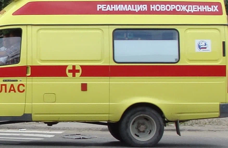 Раненую новорожденную девочку нашли в Подмосковье: Она скончалась в больнице