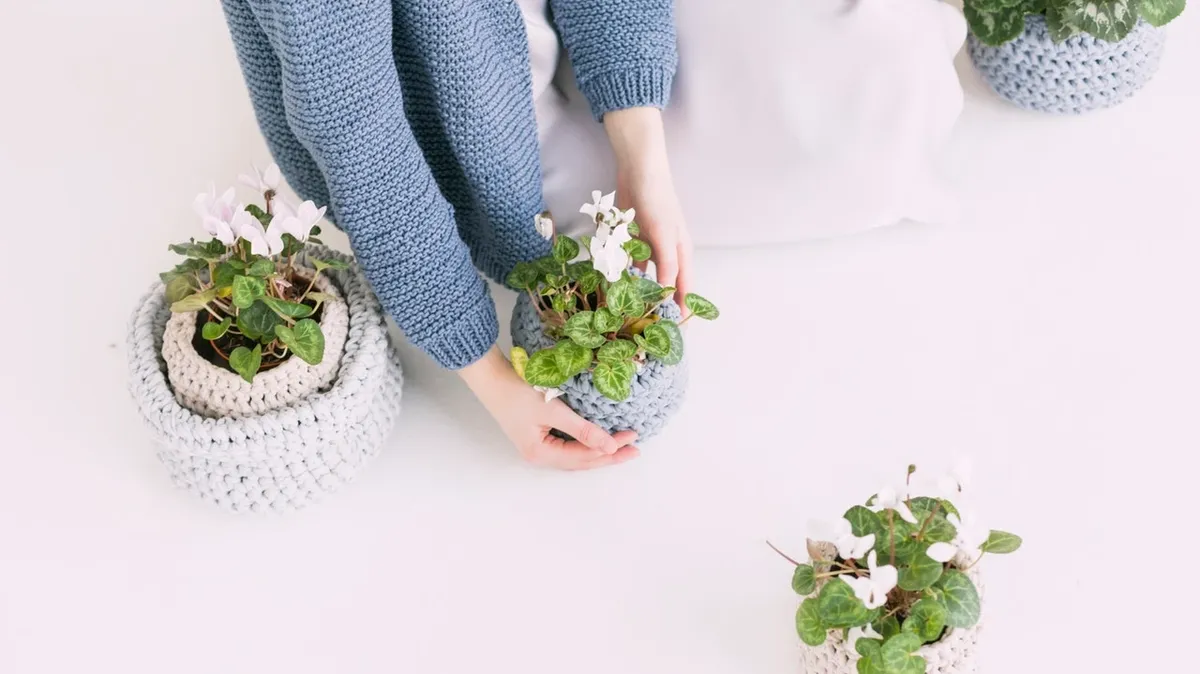 Лунный календарь ухода и полива комнатных растений в апреле 2022: какие цветы требуют особого внимания