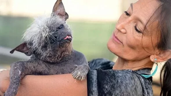 Лицо, которое может полюбить только «мать»: 17-летний питомец стал победителем конкурса «Самая уродливая собака в мире» 
