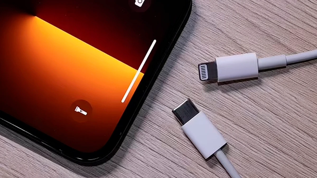 В настоящее время в iPhone используется запатентованная Apple технология разъема питания «Lightning», а в устройствах на базе Android используются разъемы USB-C. Фото: Dailymail.co.uk