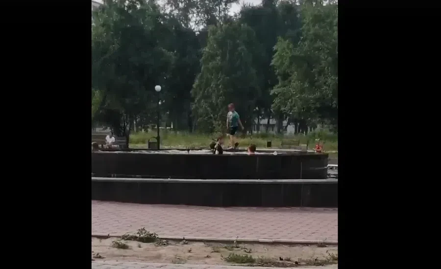 стоп-кадр с видео