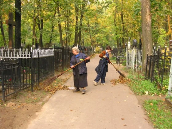Кладбище должны были убирать, но не убирали
