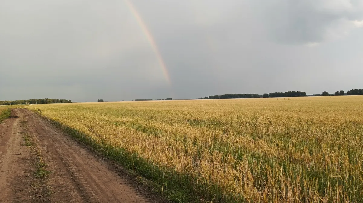 Фото: Весь Искитим