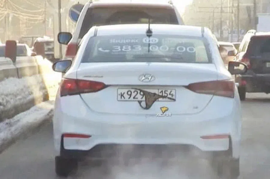 Таксист в Новосибирске прикрыл женскими трусиками-стрингами госномер: Сушит белье - сутками за рулем, пошутили пользователи