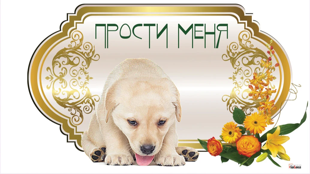 Душевные новые открытки и искренние слова  в Глобальный день прощения 7 июля для всех россиян