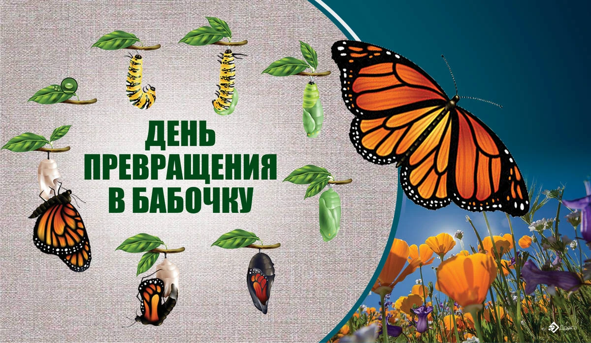 Картинка день бабочек. Бабочки на праздник. День бабочек. Трансформация из гусеницы в бабочку. Международный день бабочек в школе.