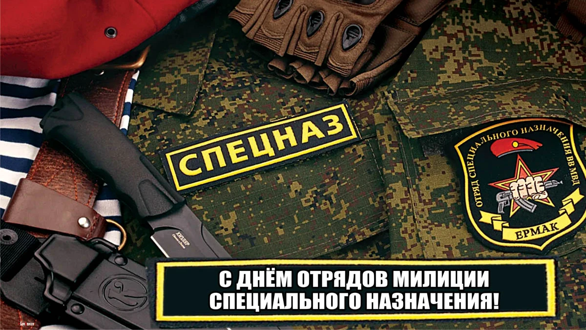 Героические поздравления в открытках и стихах в День отрядов милиции специального назначения 9 ноября 