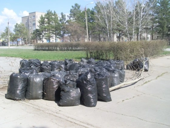 В парк были брошены основные силы 