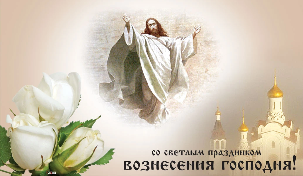 Весь Искитим