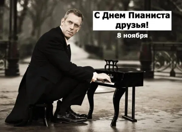 8 ноября - Международный День Пианиста. Фото: Нurrytolove.ru