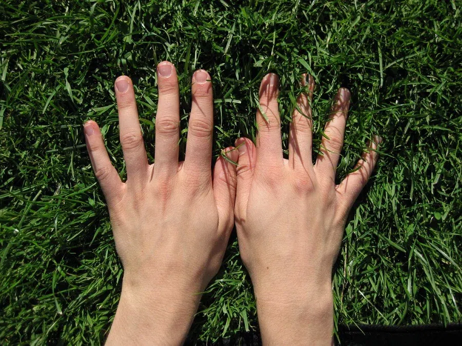 руки, трава