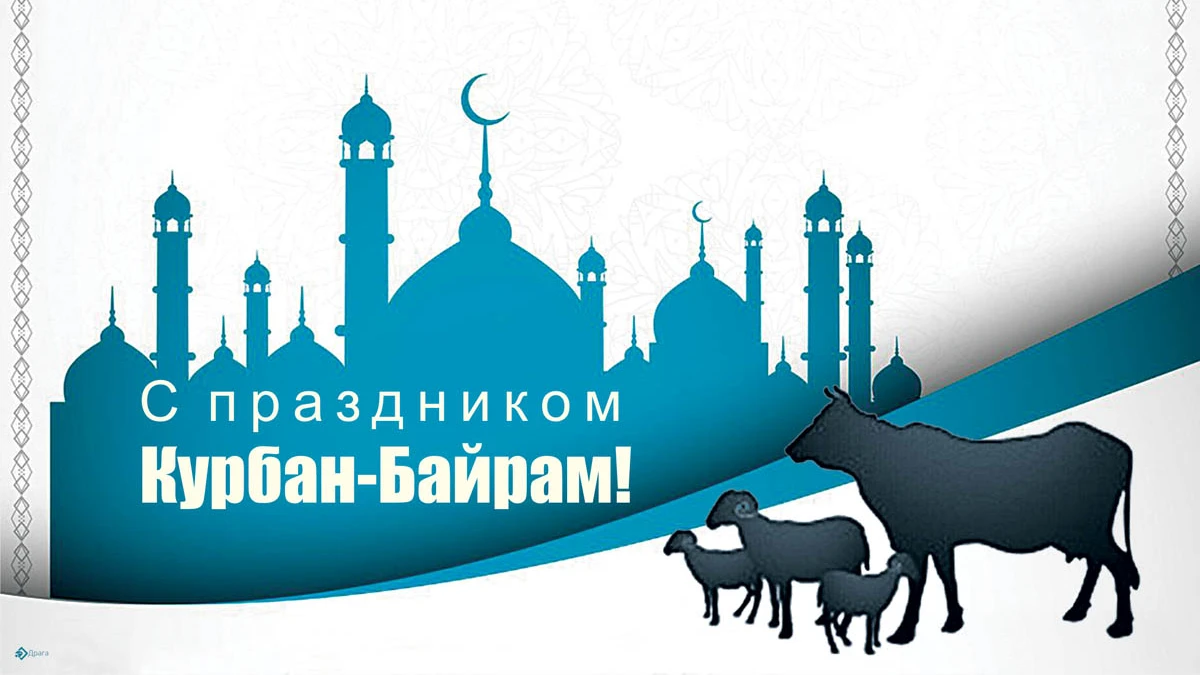 Курбан-байрам 28 июня 2023: сердечные открытки и поздравления для мусульман в священный праздник