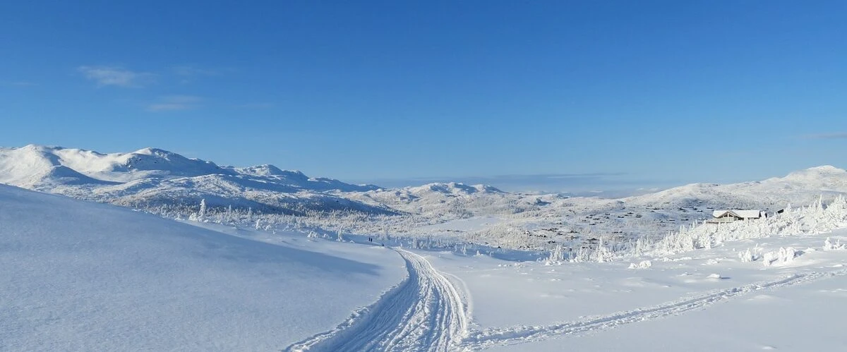 снег,горы