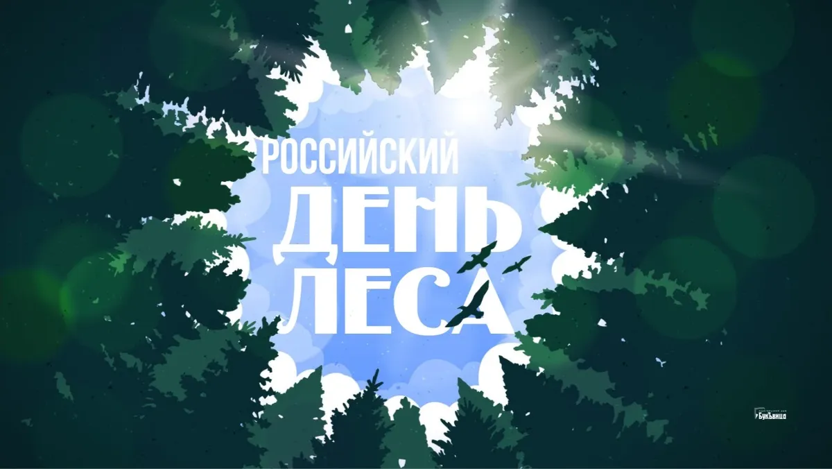 Российский день леса. Иллюстрация: «Весь Искитим»