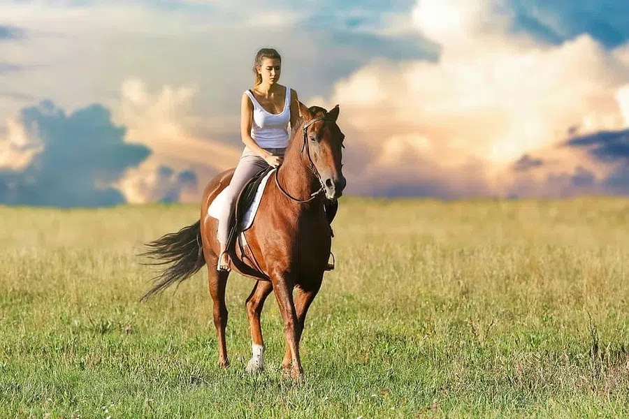 лошадь, девушка