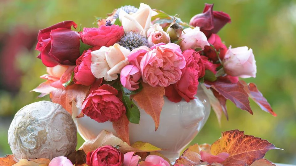 Отцвели розы – будут холодные росы.
Фото: pixabay.com