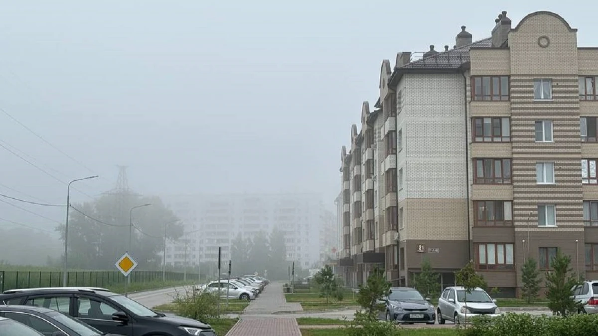 Густой утренний туман окутал Новосибирскую область — фото