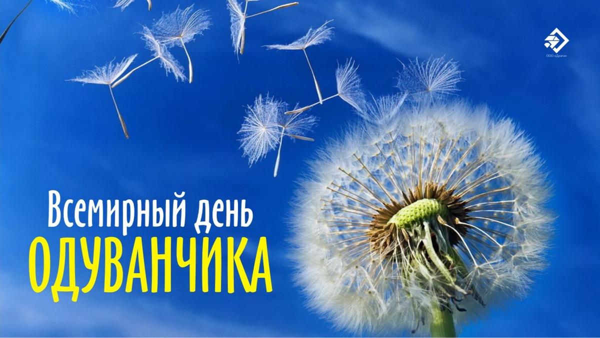 Картинки к дню одуванчика