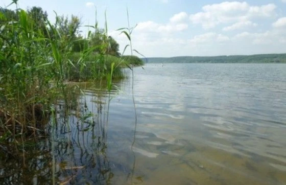 Утопленника выловили спасатели Утопленника выловили спасатели