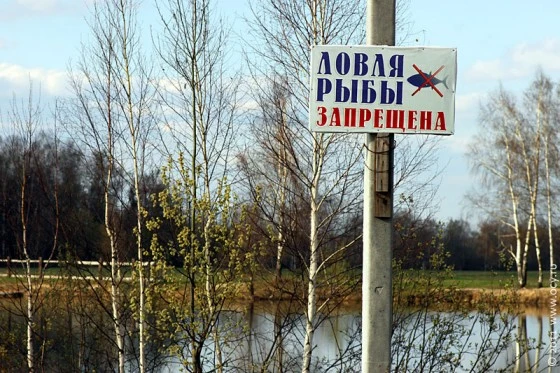 Запрет действует до 10 июня