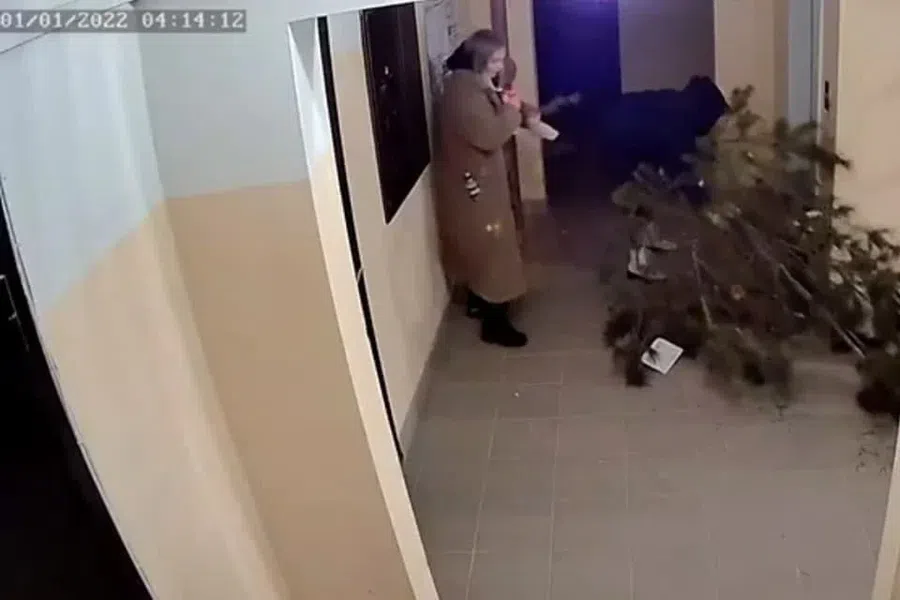Самое новогоднее преступление: Пьяные девицы срубили елку во дворе дома в Новосибирске, полицейские изъяли вещдок