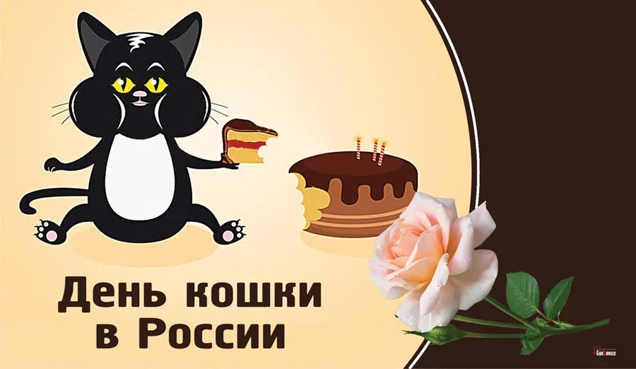 В День кошек мурчащие поздравления и открытки 1 марта