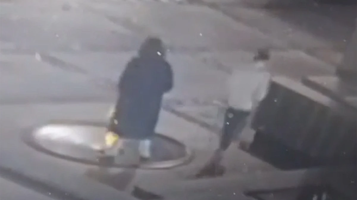 В Новосибирске арестован тувинец, помочившийся на Вечный огонь – видео