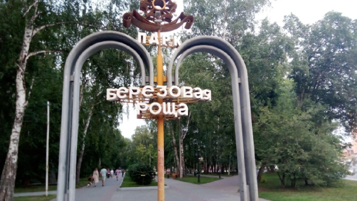 Школьница сломала бедро в парке «Берёзовая роща» в Новосибирске