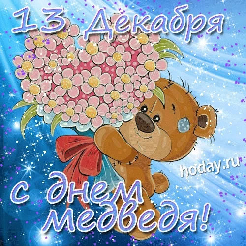 День медведя - 13 декабря. Фото: Нoday.ru