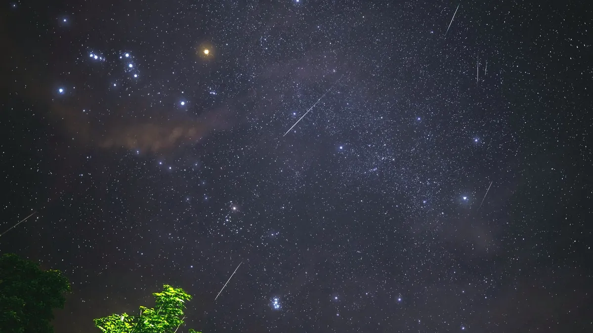 Пик метеорного потока Ариетиды с 7 июня будет заполнять небо до 200 невидимыми падающими звездами в час